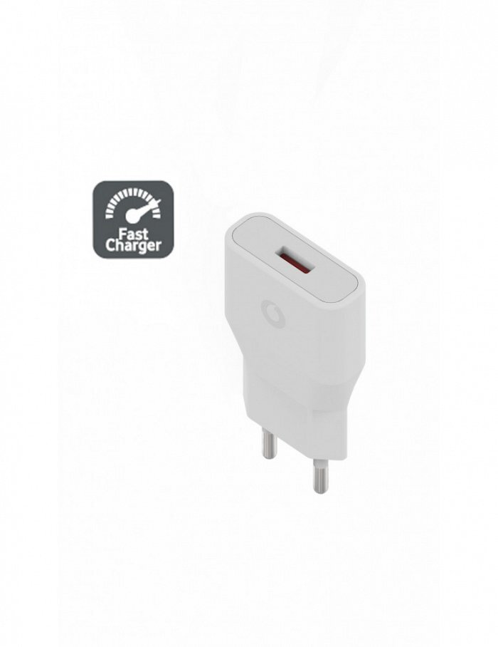 Adattatore da rete con porta USB 2.4A - Fast Charger